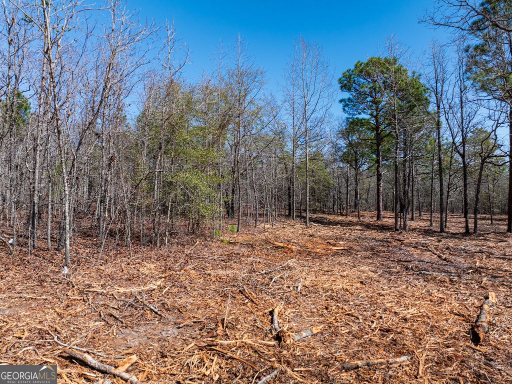Photo of 105 River Road #LOT 2, Waynesboro, GA 30830 (MLS # 10702576)