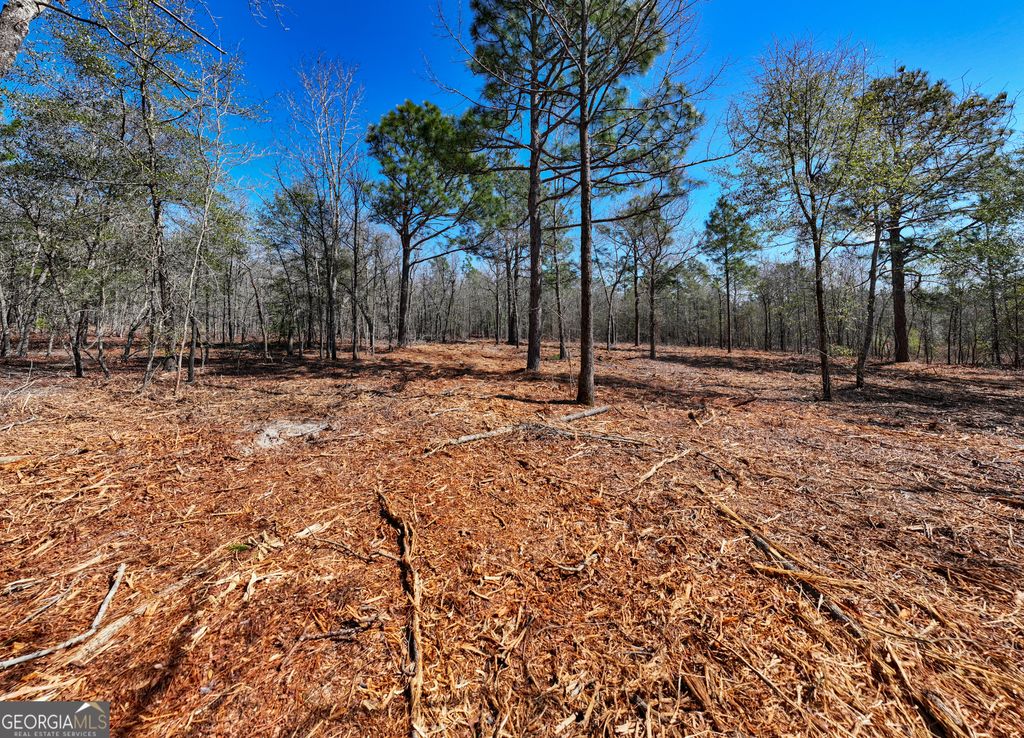 Photo of 105 River Road #LOT 2, Waynesboro, GA 30830 (MLS # 10702576)