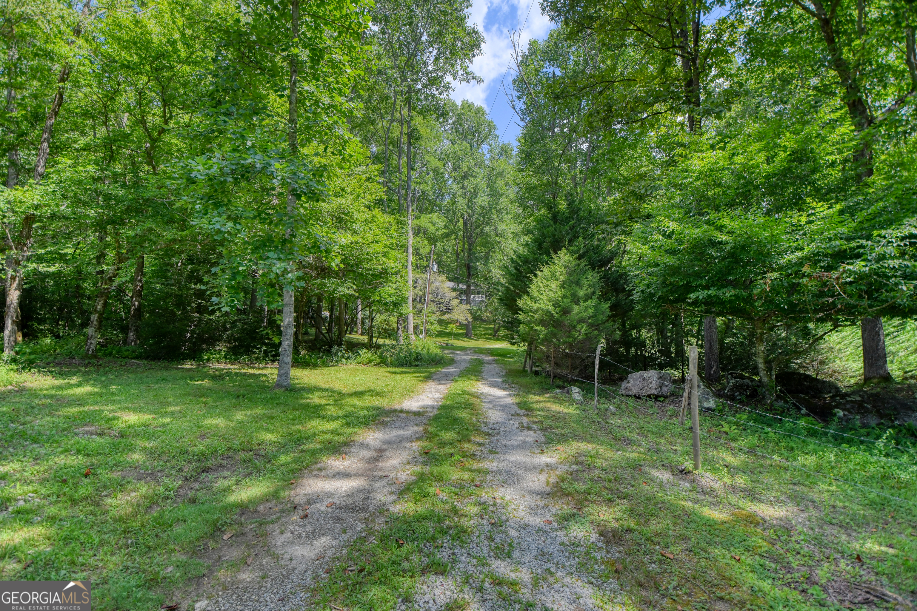 164 Asa Cove LN