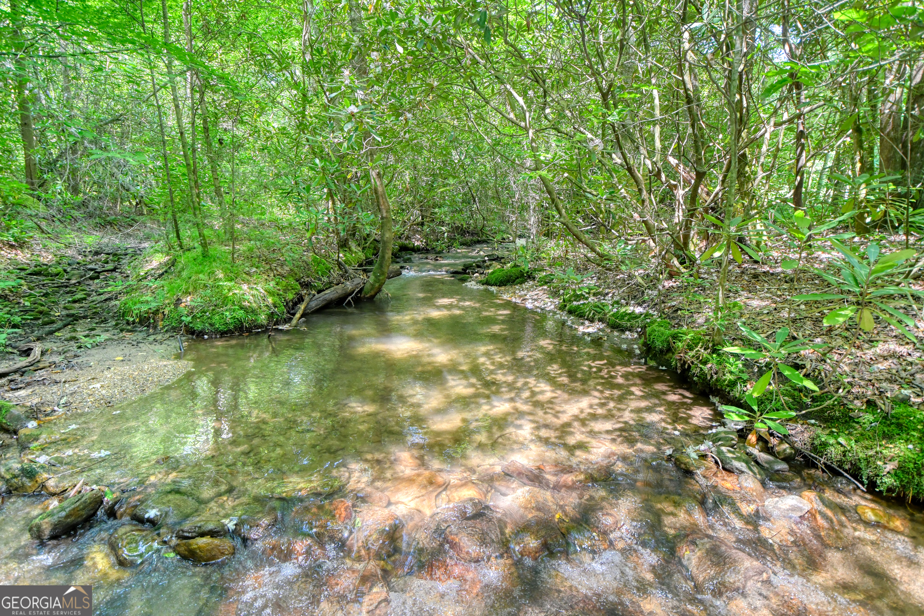 164 Asa Cove LN