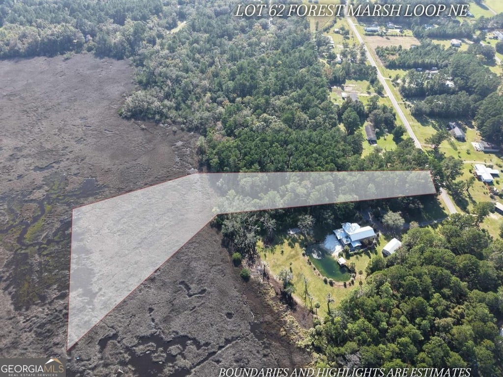 Photo of 62 Forest Marsh Loop NE, Townsend, GA 31331 (MLS # 10881458)