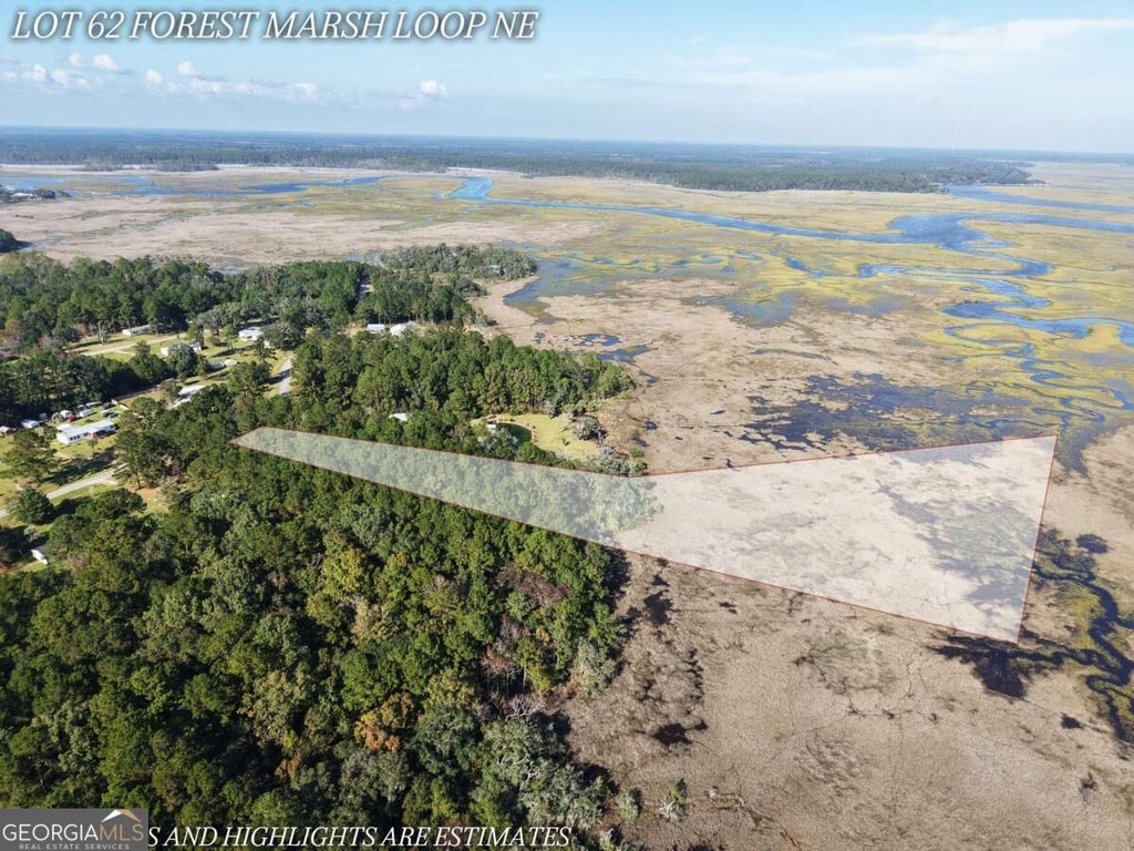 Photo of 62 Forest Marsh Loop NE, Townsend, GA 31331 (MLS # 10881458)
