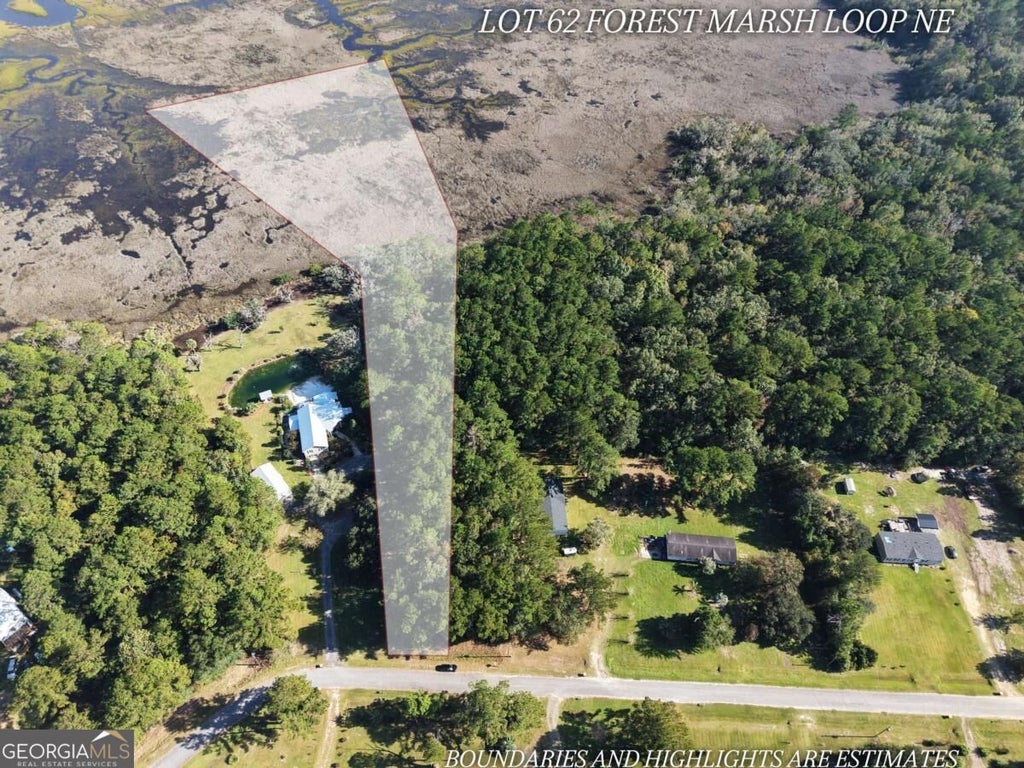 Photo of 62 Forest Marsh Loop NE, Townsend, GA 31331 (MLS # 10881458)