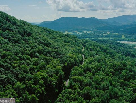 Photo of 0 Shake Hollow Drive, Rabun Gap, GA 30568 (MLS # 10677208)