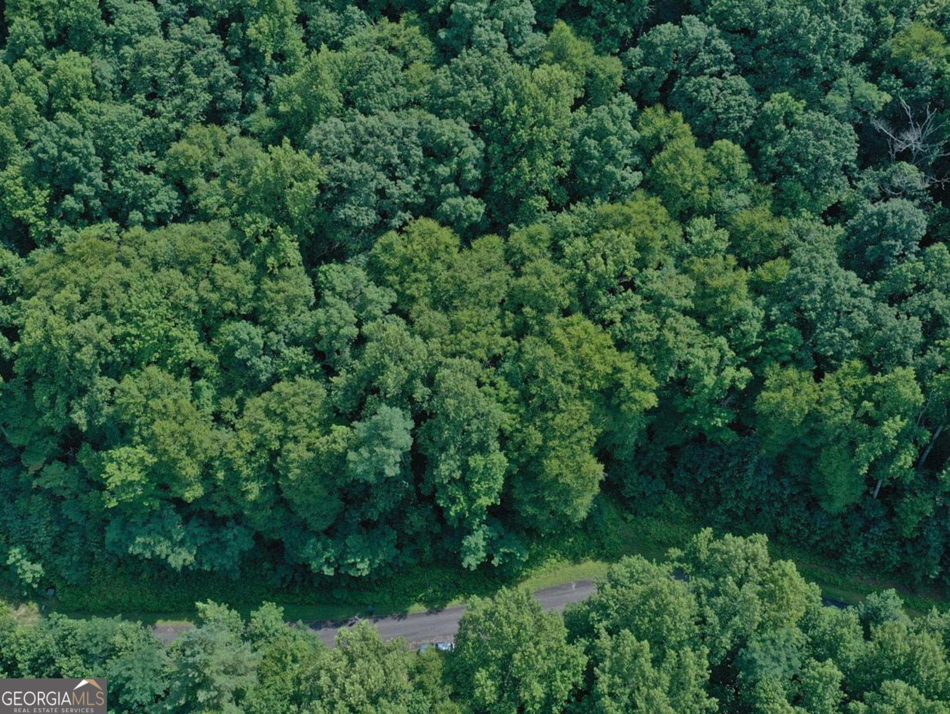 0 Shake Hollow Drive