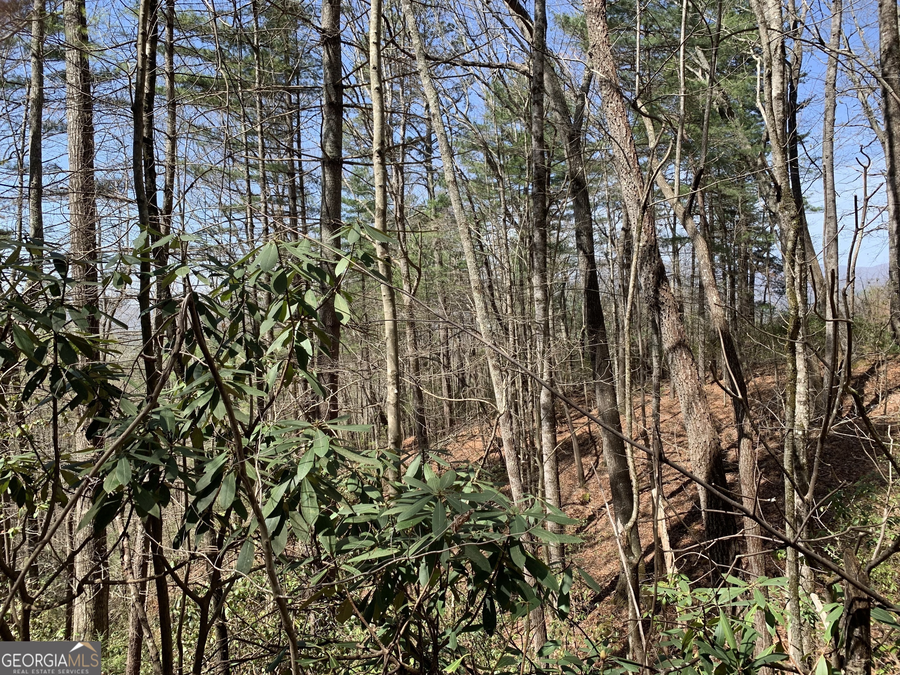 0 Shake Hollow Drive