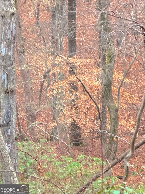 Photo of 00 Crooked Creek, Jasper, GA 30143 (MLS # 10674771)