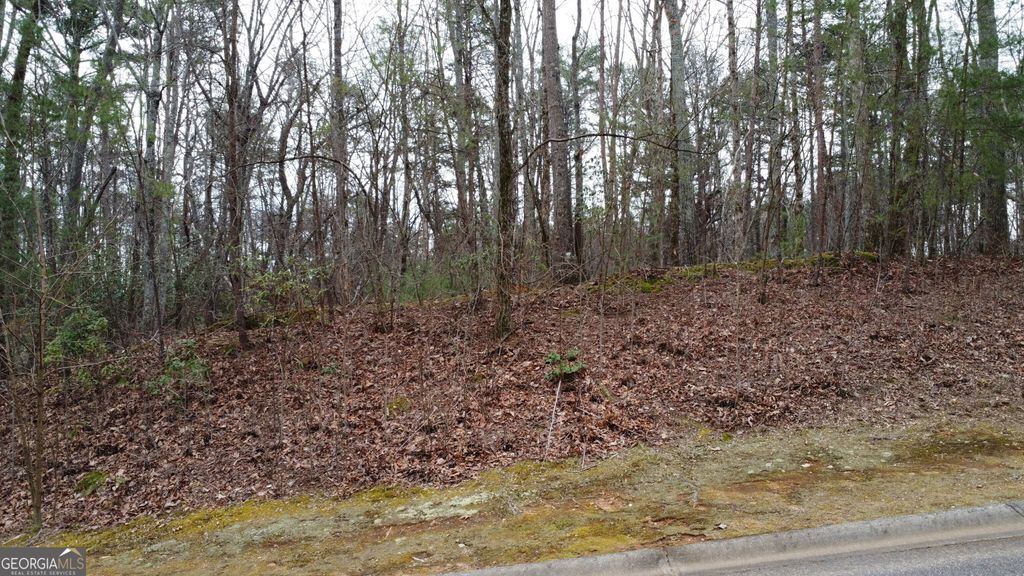 Photo of 1446 Glazenwood Drive, Clarkesville, GA 30523 (MLS # 10794938)