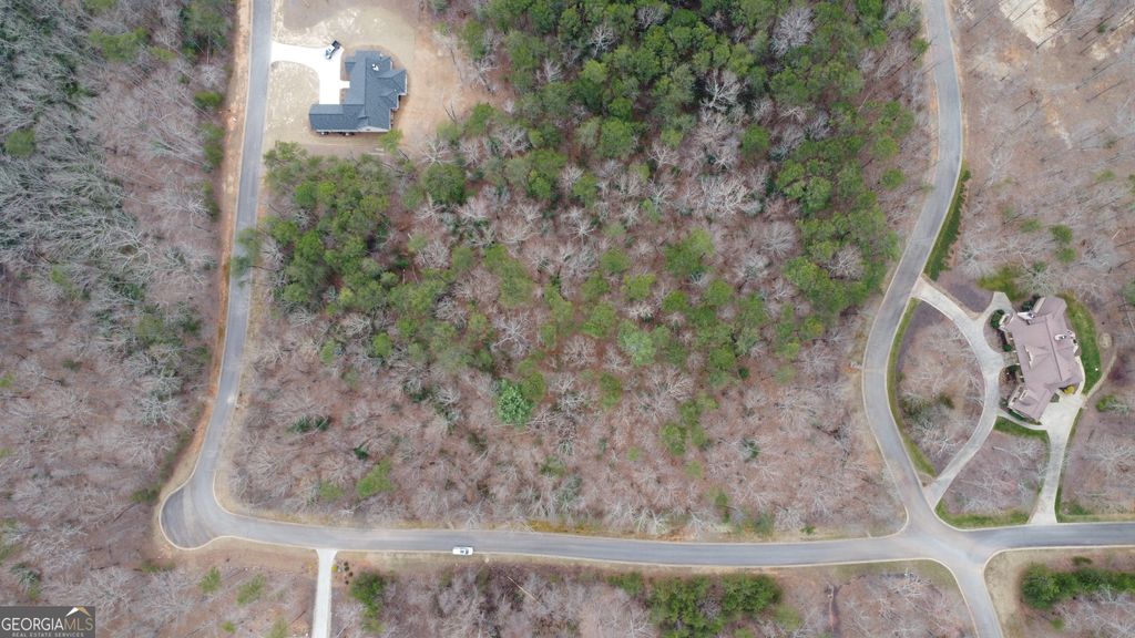 Photo of 1446 Glazenwood Drive, Clarkesville, GA 30523 (MLS # 10794938)