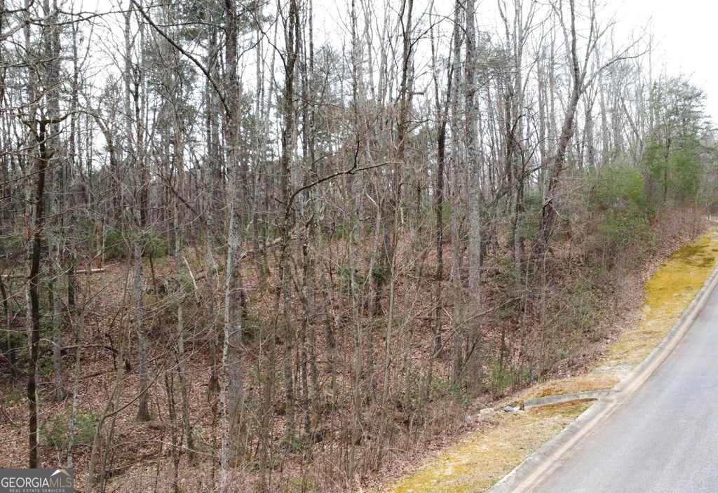 Photo of 1446 Glazenwood Drive, Clarkesville, GA 30523 (MLS # 10794938)