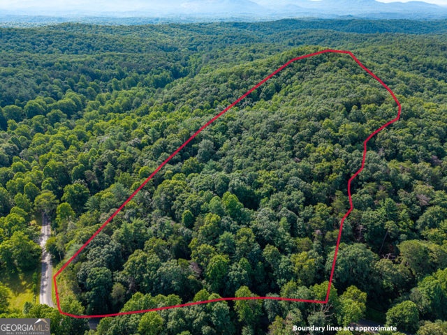 Photo of 5198 Flat Branch Road, Ellijay, GA 30540 (MLS # 10794343)