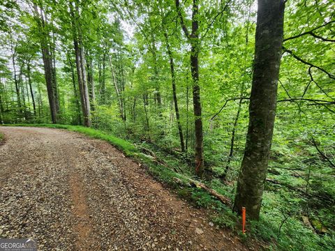 TRACT 2B Poplar Cove TRL Suches GA 30572