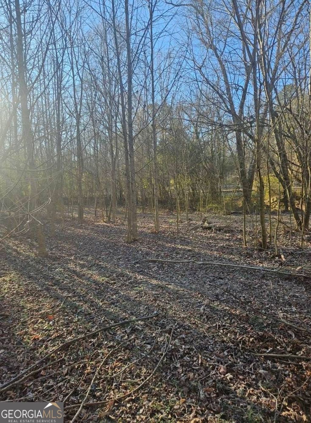 Photo of 0 Lebanon Church Road, Jefferson, GA 30549 (MLS # 10785751)
