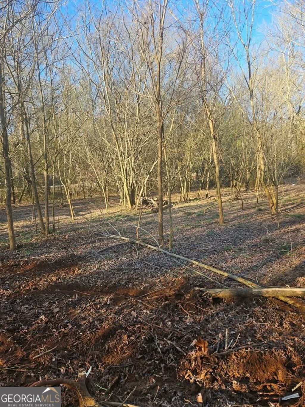 Photo of 0 Lebanon Church Road, Jefferson, GA 30549 (MLS # 10785751)