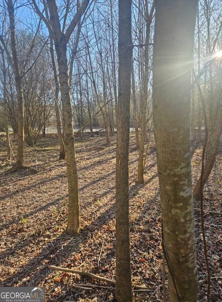 Photo of 0 Lebanon Church Road, Jefferson, GA 30549 (MLS # 10785751)