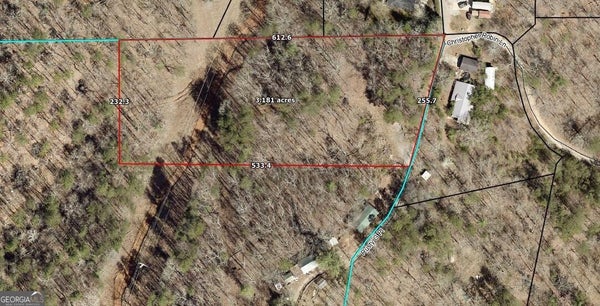 RUSTY G PL, DAWSONVILLE, GA 30534 - Image e023d9832a90f5f87b1929cc82a8dfd7/920015079