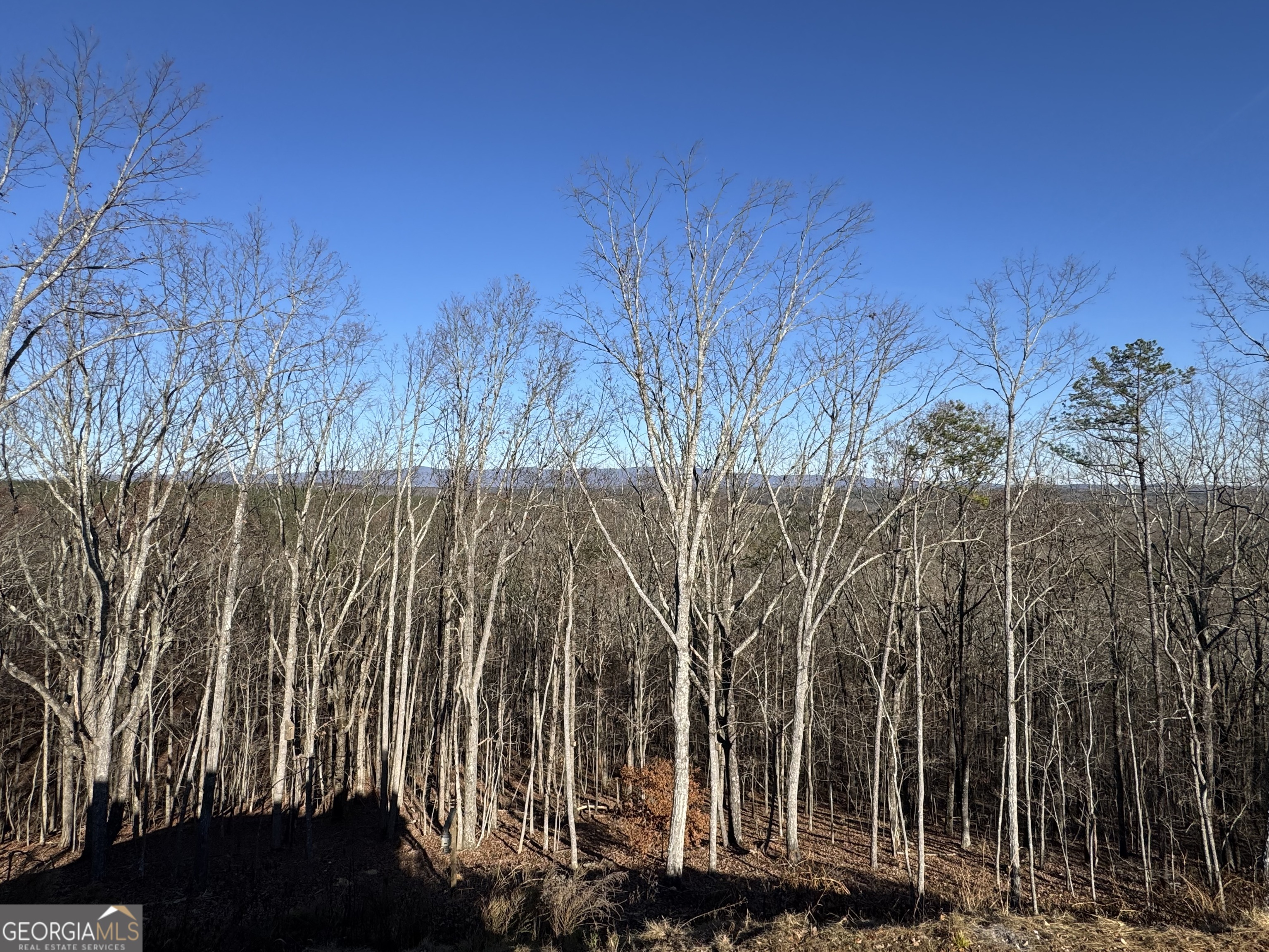 171 Hawthorne Hill RD