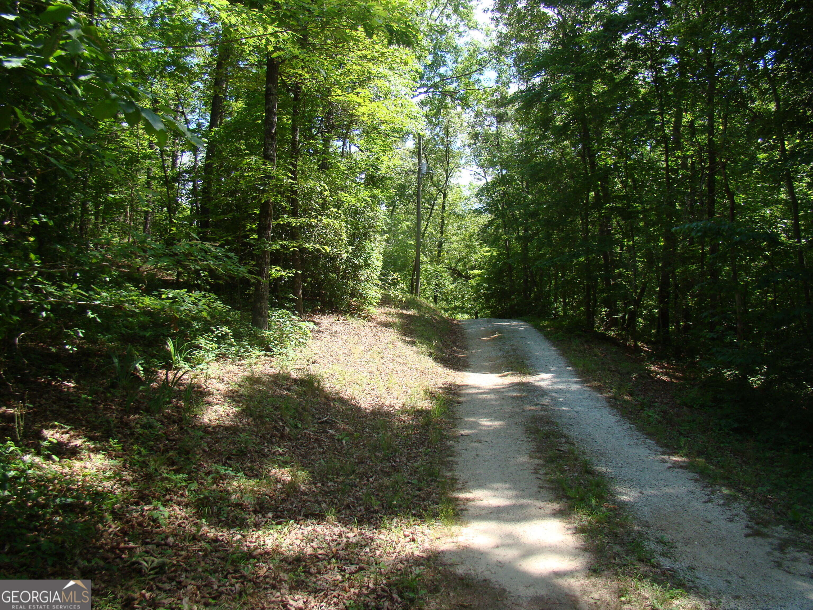 38 Morrisons Point Dr