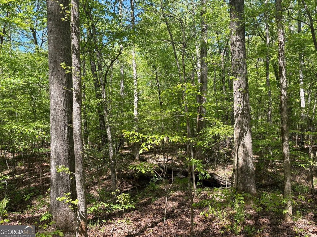 Photo of 0 OFF North Taylor Road, Woodland, GA 31836 (MLS # 10741344)