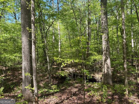 Photo of 0 OFF North Taylor Road, Woodland, GA 31836 (MLS # 10741344)