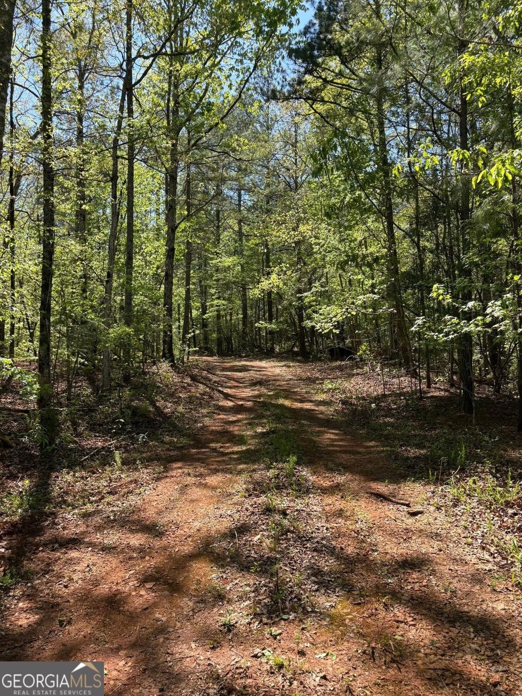 Photo of 0 OFF North Taylor Road, Woodland, GA 31836 (MLS # 10741344)