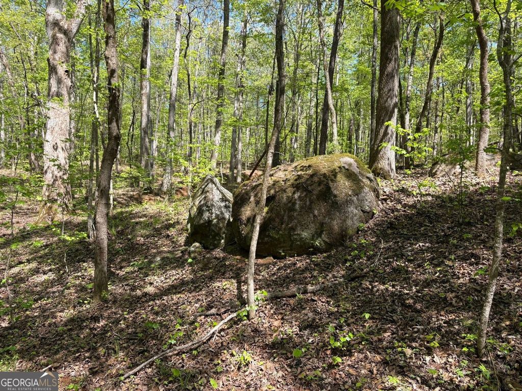 Photo of 0 OFF North Taylor Road, Woodland, GA 31836 (MLS # 10741344)