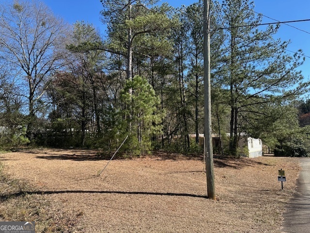 11836 Ga Hwy 92