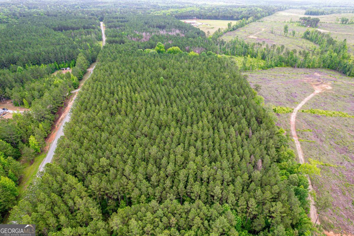 Don't miss this chance to own 5 acres of unrestricted land near Lake Sinclair. Located in the peaceful Pea Ridge Acres subdivision, off Highway 441, you're just a short drive to Milledgeville and all the lake's amenities. Build your dream home or enjoy recreational activities on this spacious lot. Contact us today to learn more!