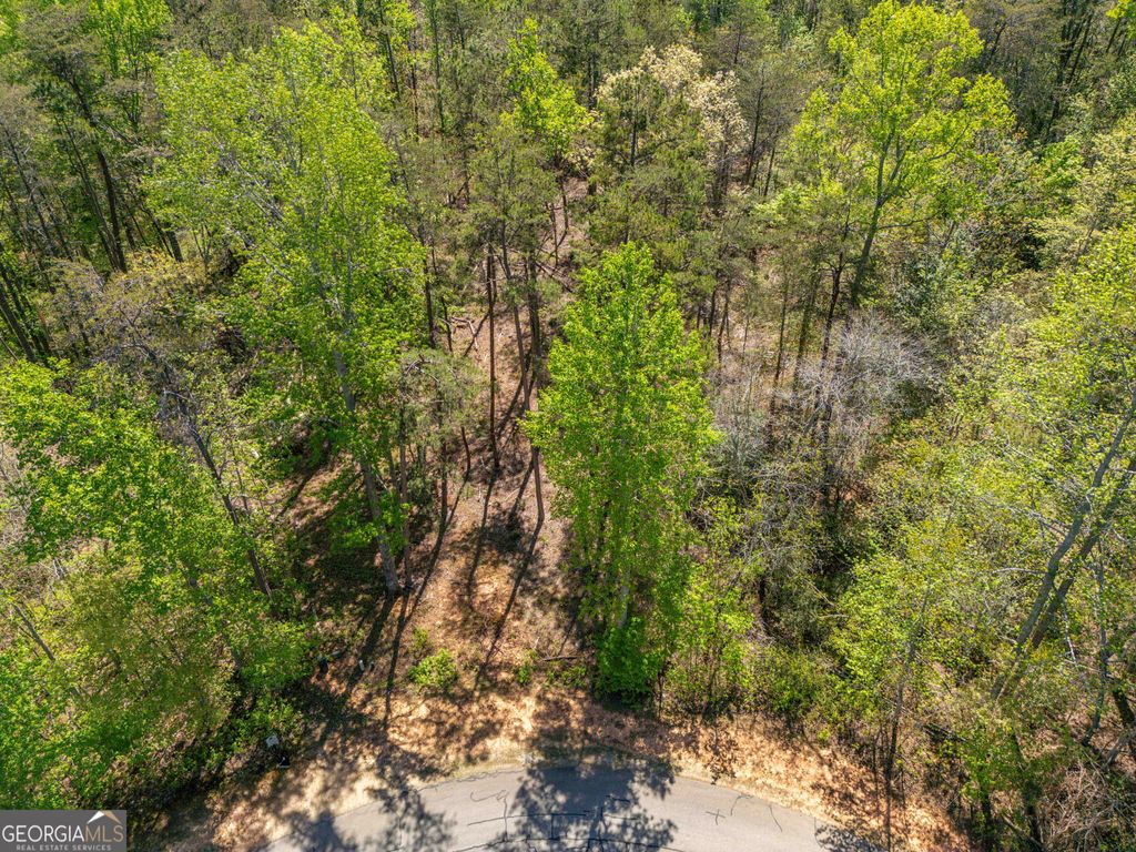 Photo of 0 Georgia Bell lot 1702, Clarkesville, GA 30523 (MLS # 10738580)