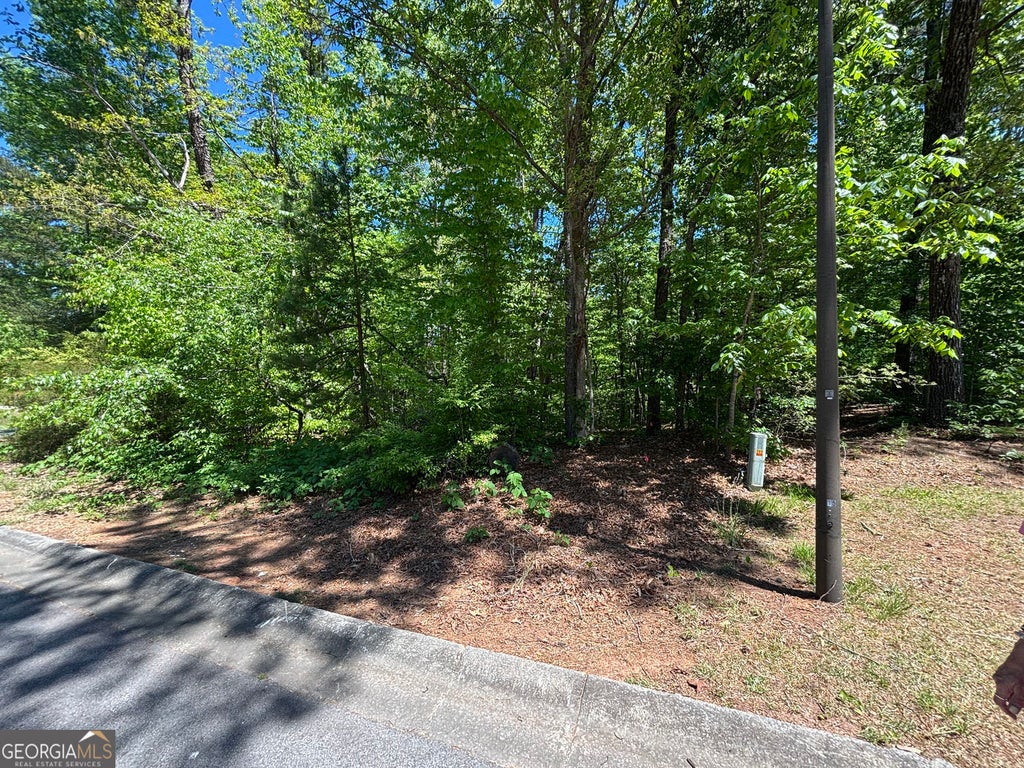 Photo of 15 Cross Creek Drive, Toccoa, GA 30577 (MLS # 10816408)