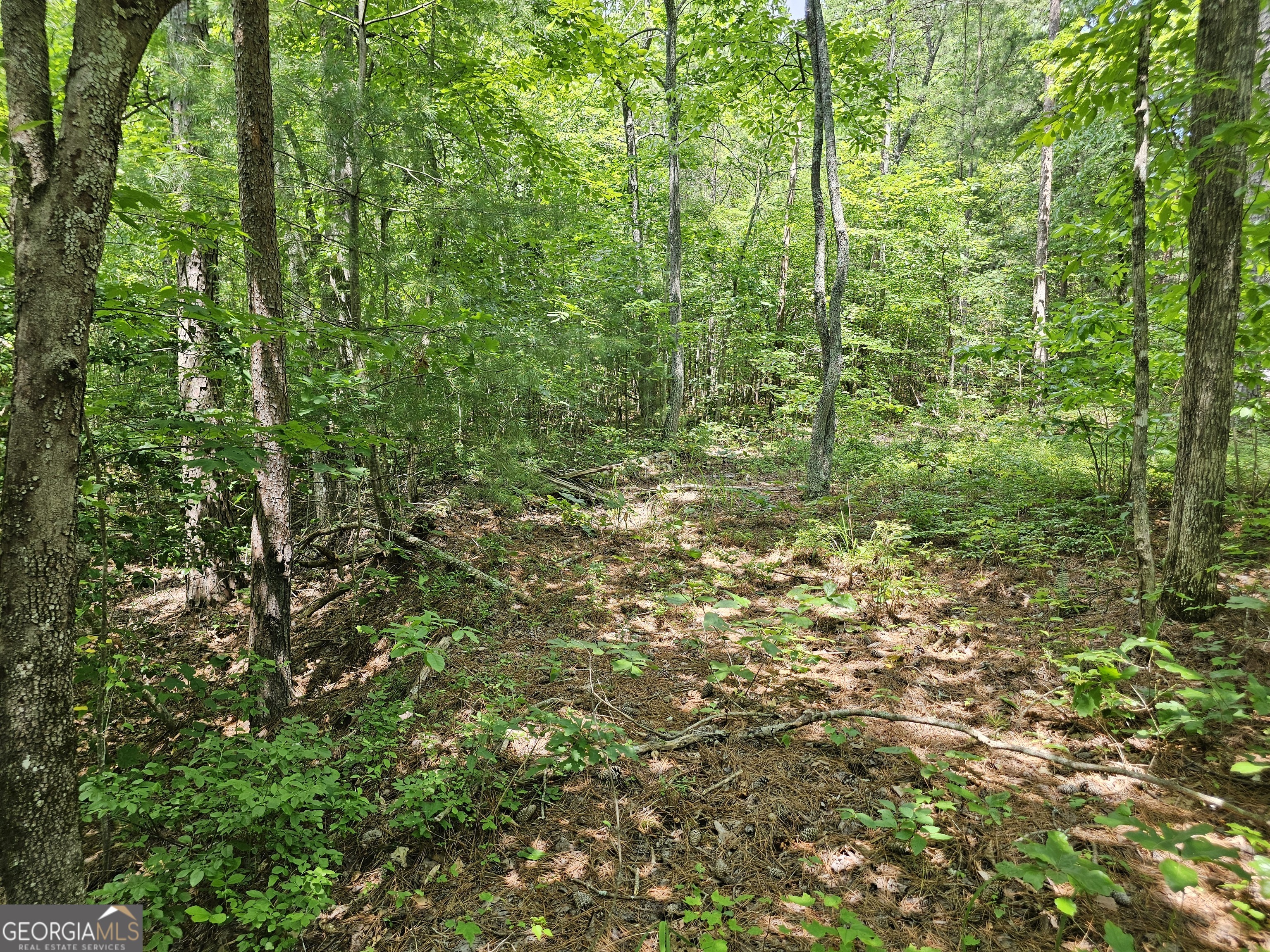 0 Harris Ridge DR