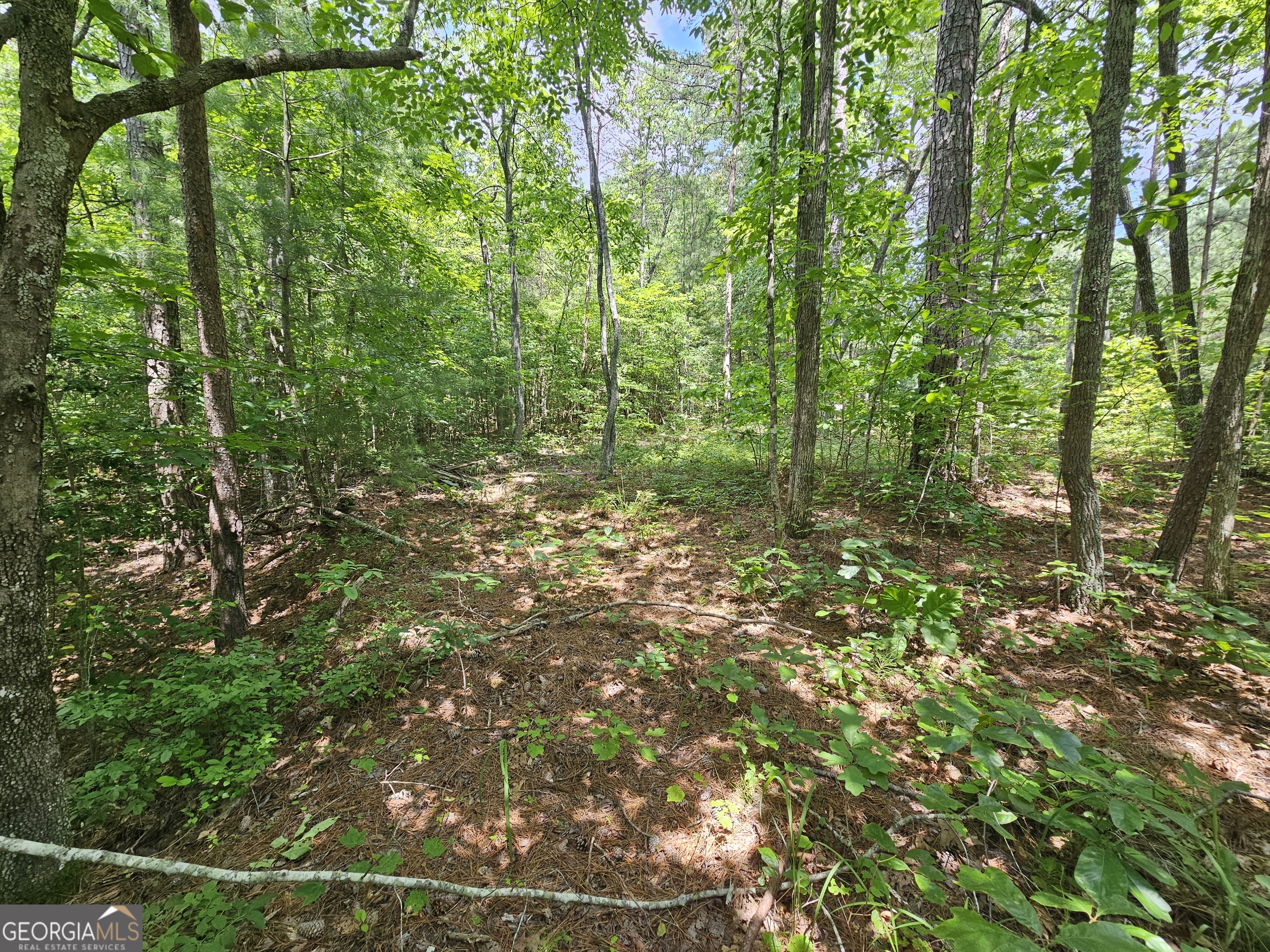 0 Harris Ridge DR