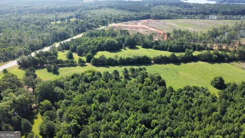 Unimproved Land in Lincolnton GA 5339 Thomson Highway 10.jpg