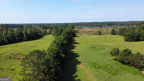 Unimproved Land in Lincolnton GA 5339 Thomson Highway 2.jpg