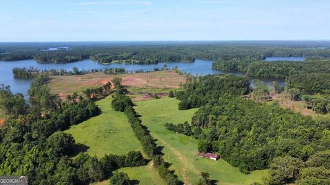 Unimproved Land in Lincolnton GA 5339 Thomson Highway.jpg