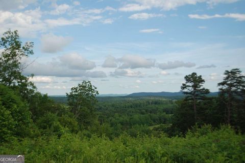 Photo of 1558 Jamestown Road, Menlo, GA 30731 (MLS # 10560214) Photo of 1558 Jamestown Road, Menlo, GA 30731 (MLS # 10560214)