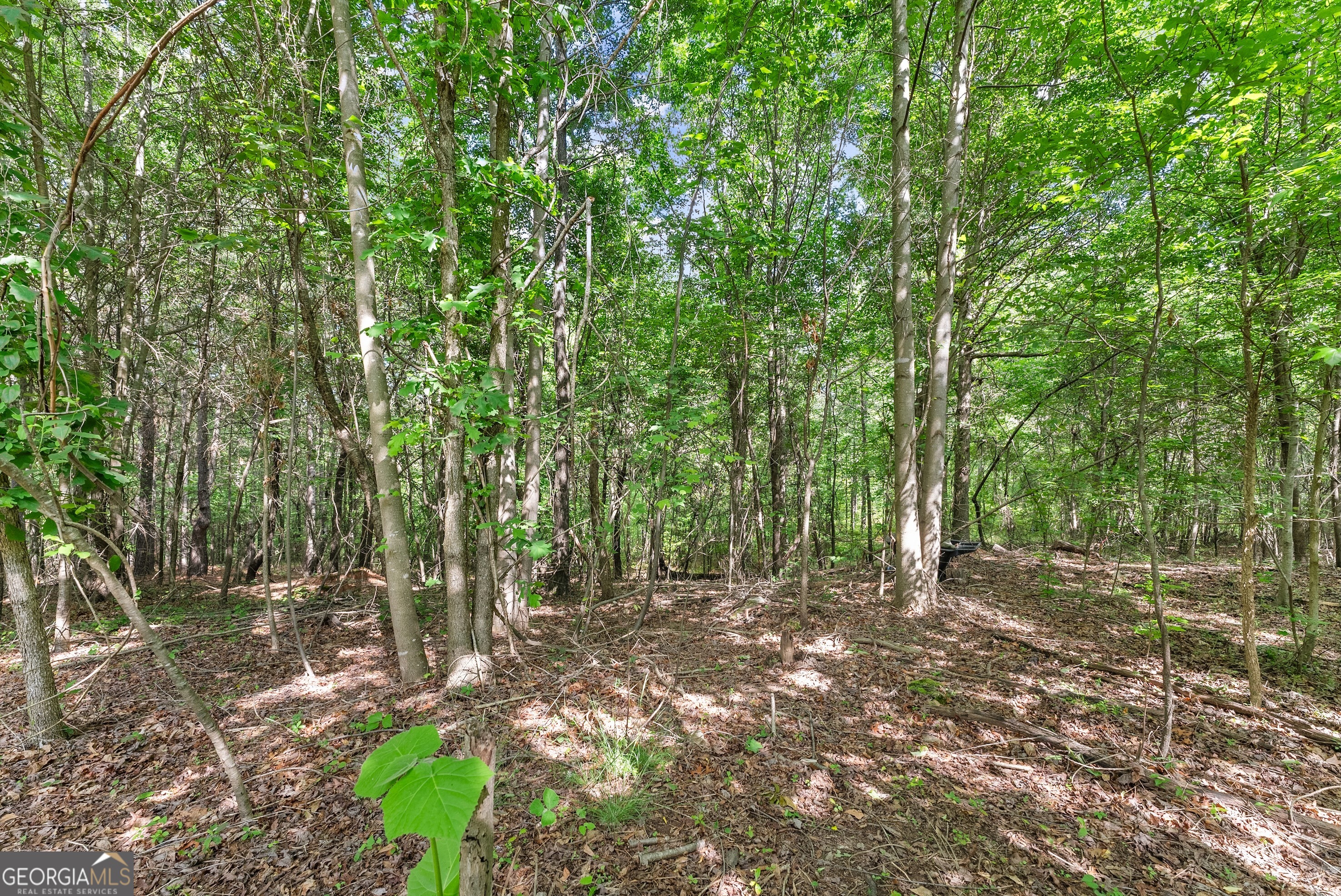 5008 Gillsville HWY