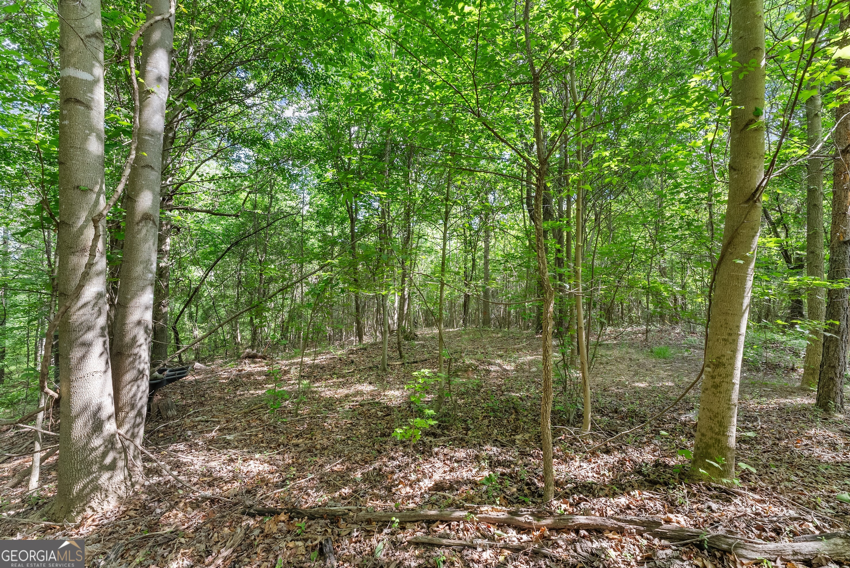 5008 Gillsville HWY
