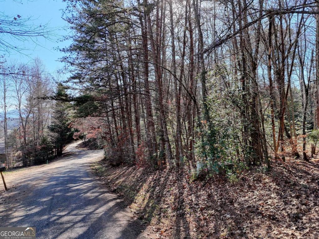 Photo of 5 Tombstone Drive #5, Blairsville, GA 30512 (MLS # 10657618)