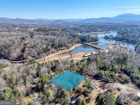 LOT 5 Tombstone DR 5 Blairsville GA 30512