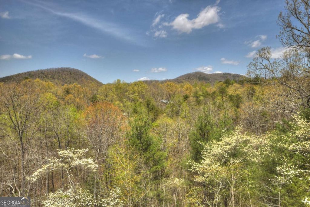 Photo of 220 Lakota Lane, Mineral Bluff, GA 30559 (MLS # 10721736)