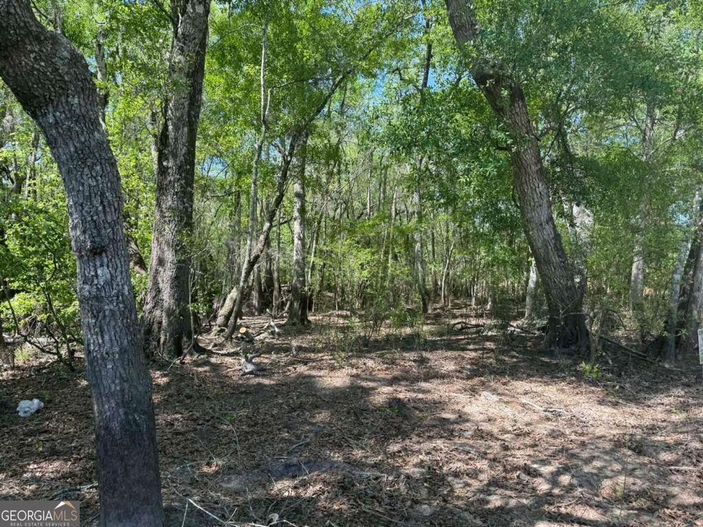 Photo of 0 Lewis Landing, Nahunta, GA 31553 (MLS # 10731610)