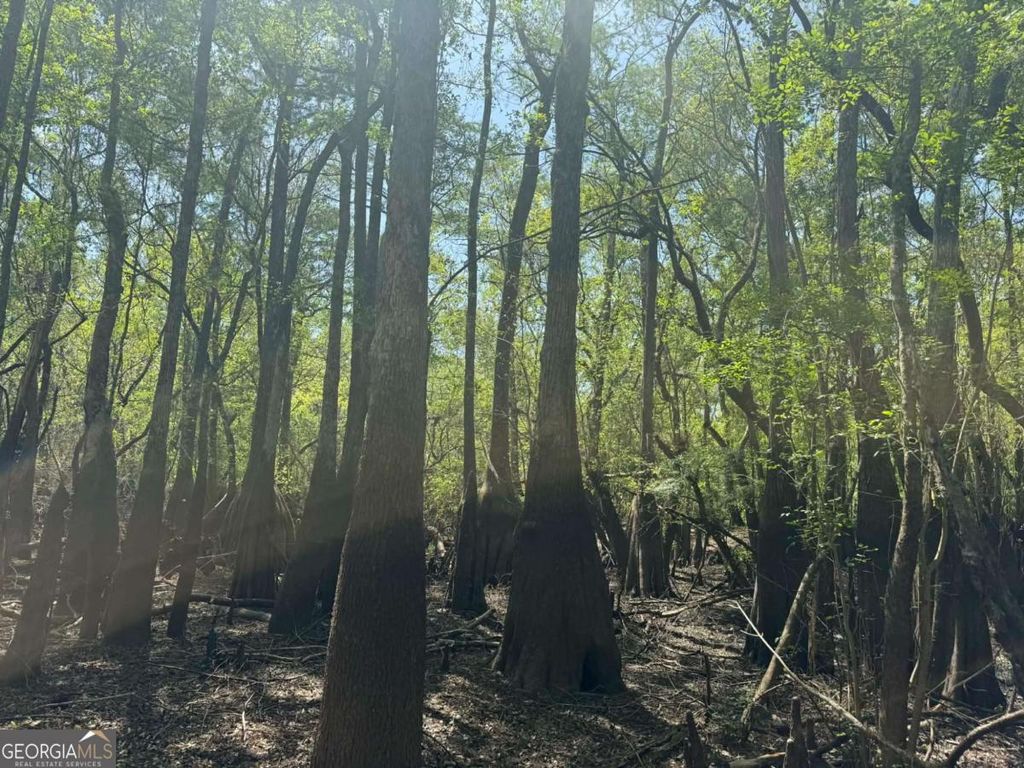 Photo of 0 Lewis Landing, Nahunta, GA 31553 (MLS # 10731610)