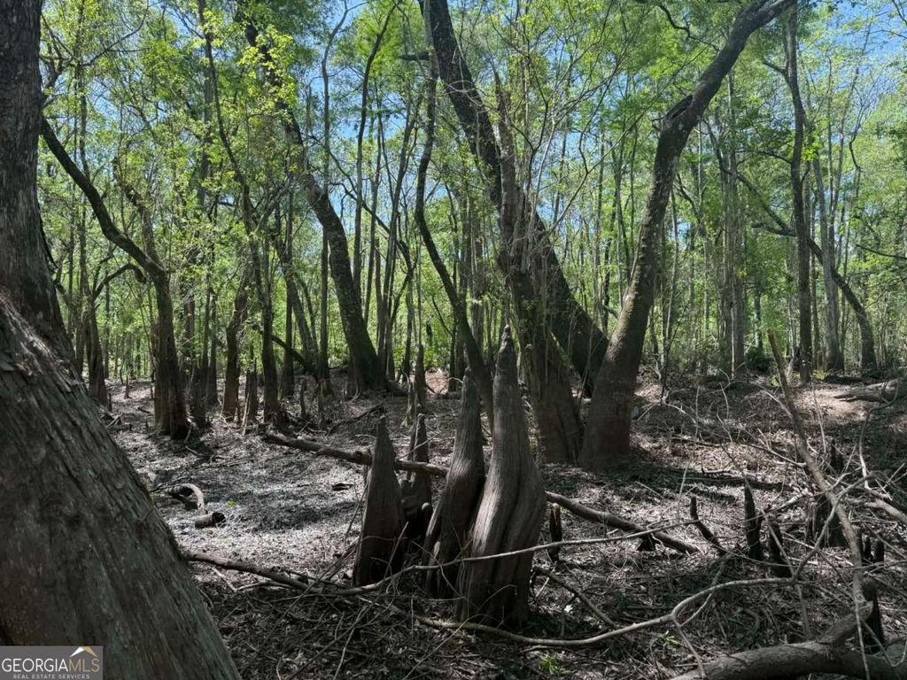 Photo of 0 Lewis Landing, Nahunta, GA 31553 (MLS # 10731610)