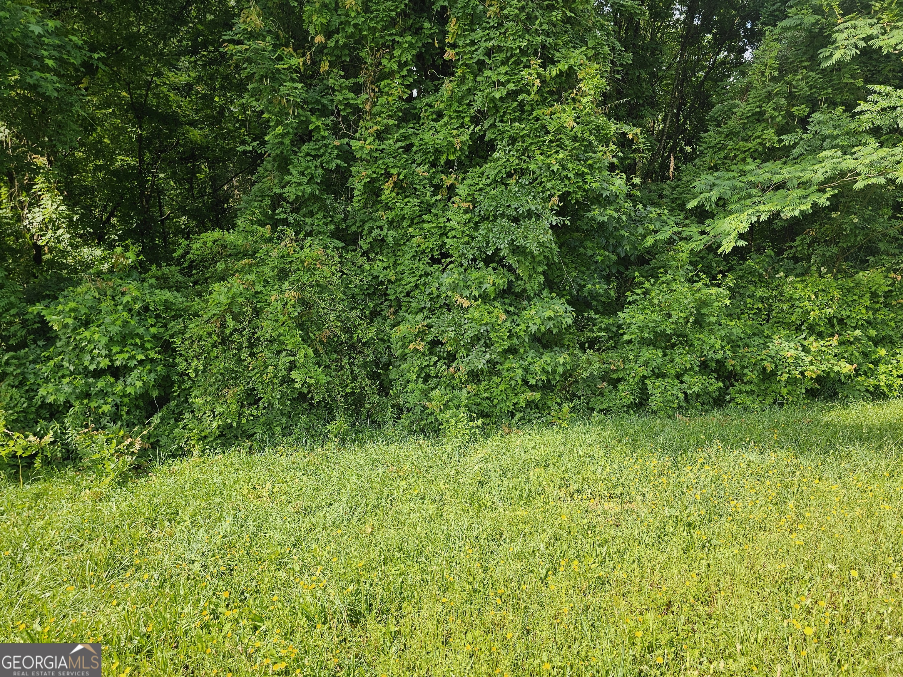 Nice beautiful land lot. Great building lot!~sold in conjunction with MLS 10540136 or separate. An entrance can be created on both sides with a beautiful stream in the back.