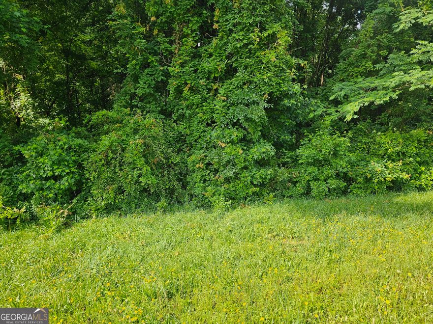 Nice beautiful land lot. Great building lot!~sold in conjunction with MLS 10540136 or separate. An entrance can be created on both sides with a beautiful stream in the back.