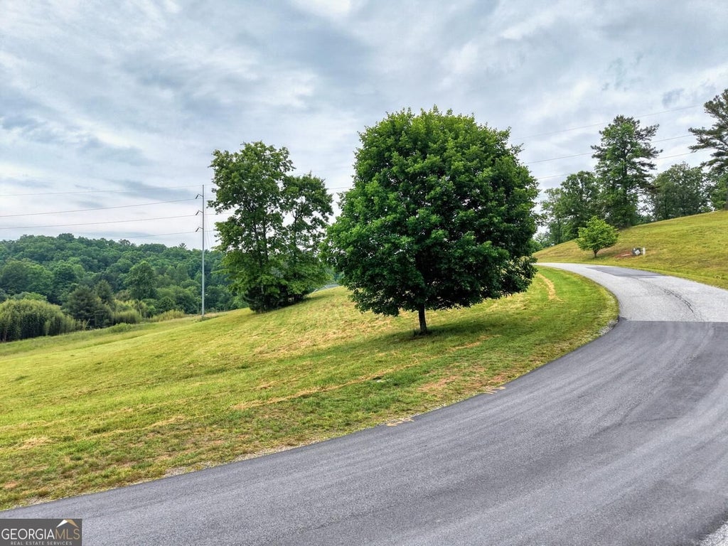 Photo of RIVERSIDE ON LA Madeline, Blairsville, GA 30512 (MLS # 10838468)