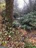 0 Allen Cove RD