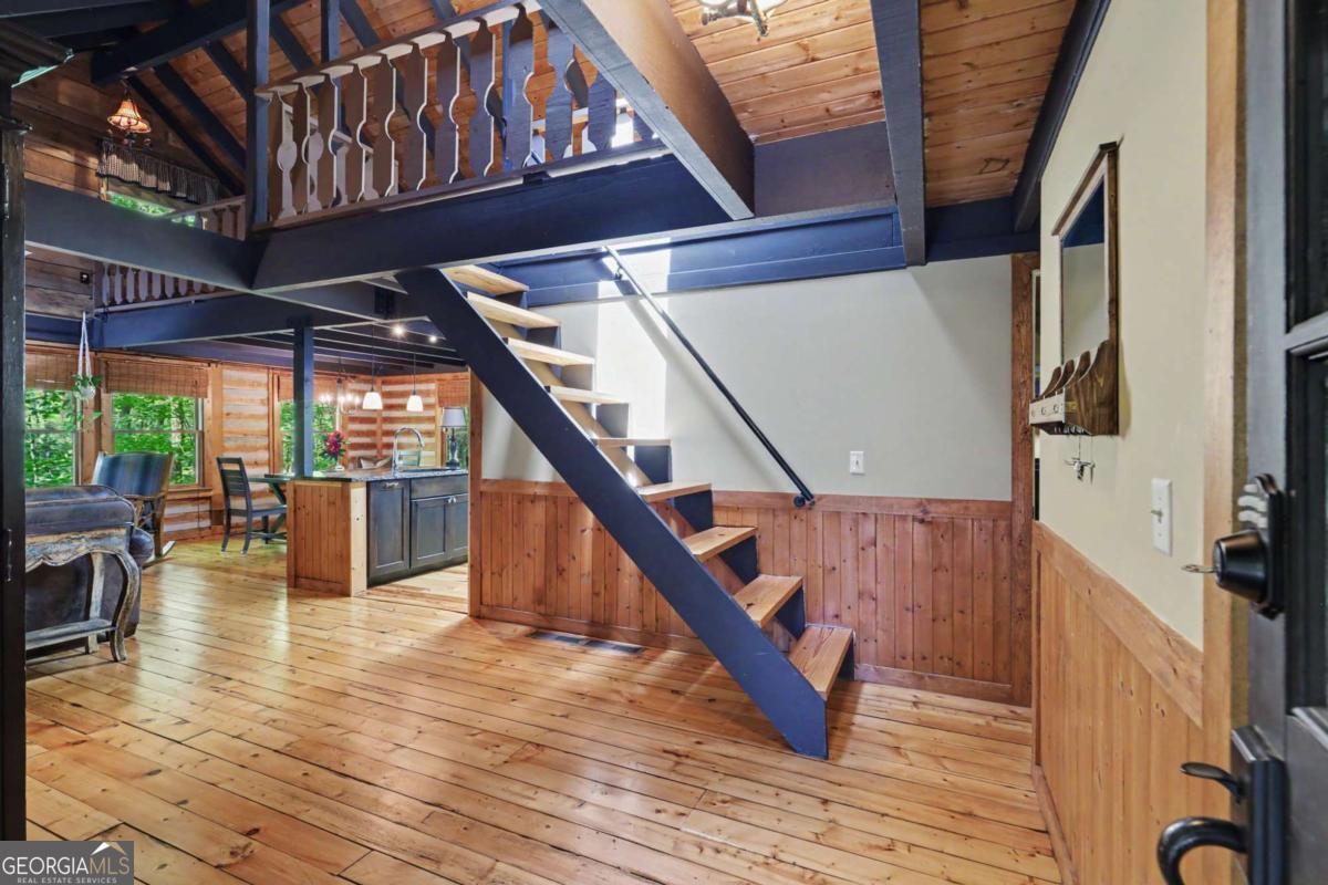4 Saddleback CIR