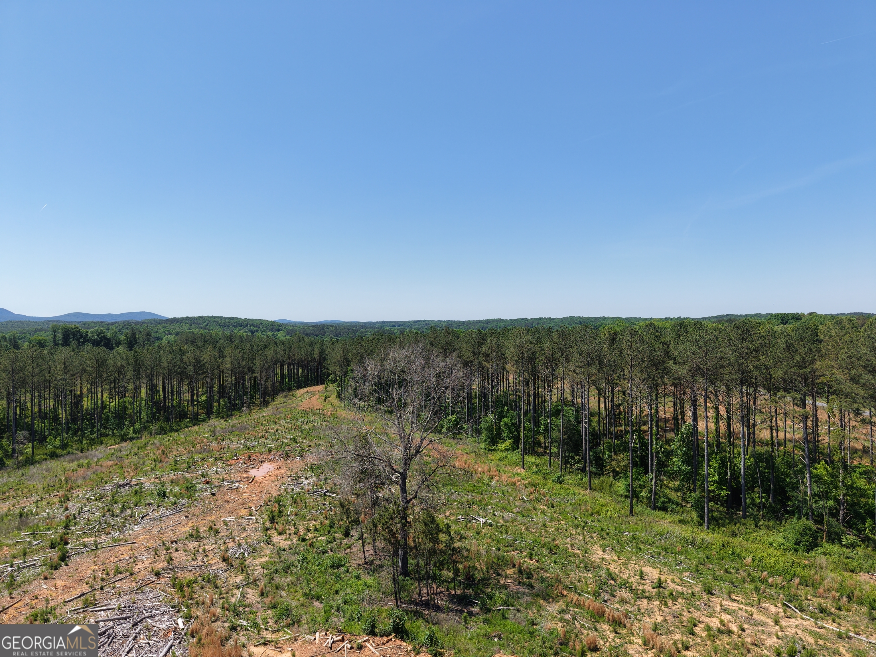 0 Bishop Loop RD 7400/9555